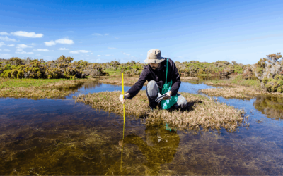 Ecology & Biodiversity Services