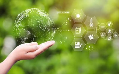 Environmental Management & Compliance