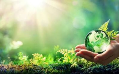 Environmental Modeling Services